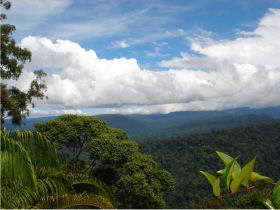 Borneo tailor made holiday, wildlife & beaches